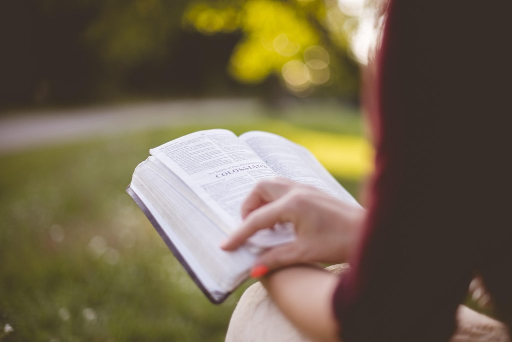 Bible Studying Photo